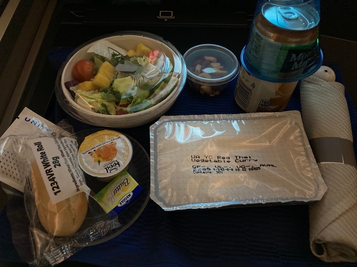 United Airlines economy Thai curry vegan option