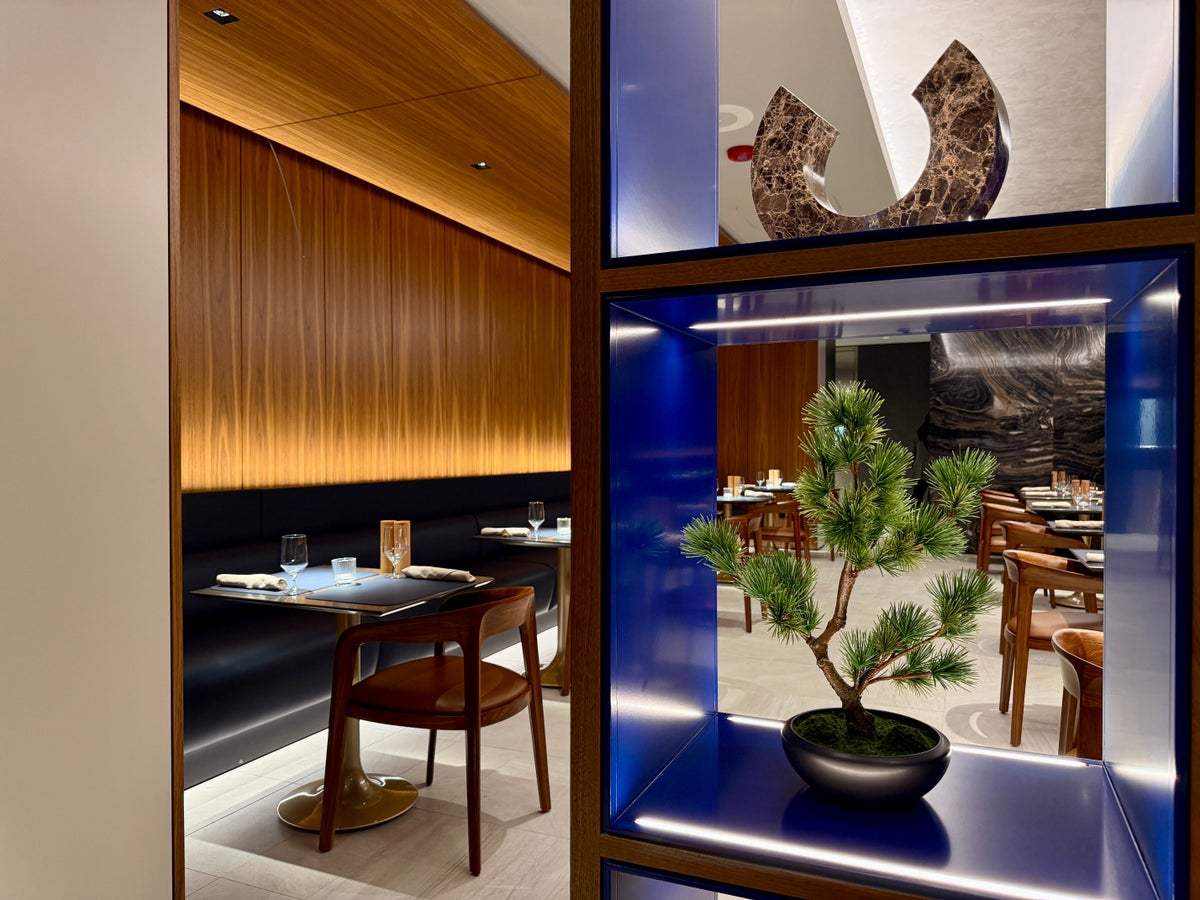 United Polaris Lounge Chicago Dining Room Bonsai Tree