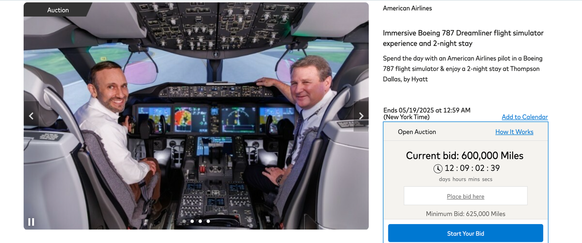 AA Auction Flight Simulator