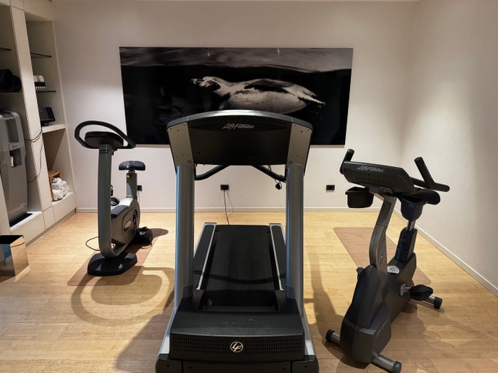 AC Hotel La Finca gym cardio machines