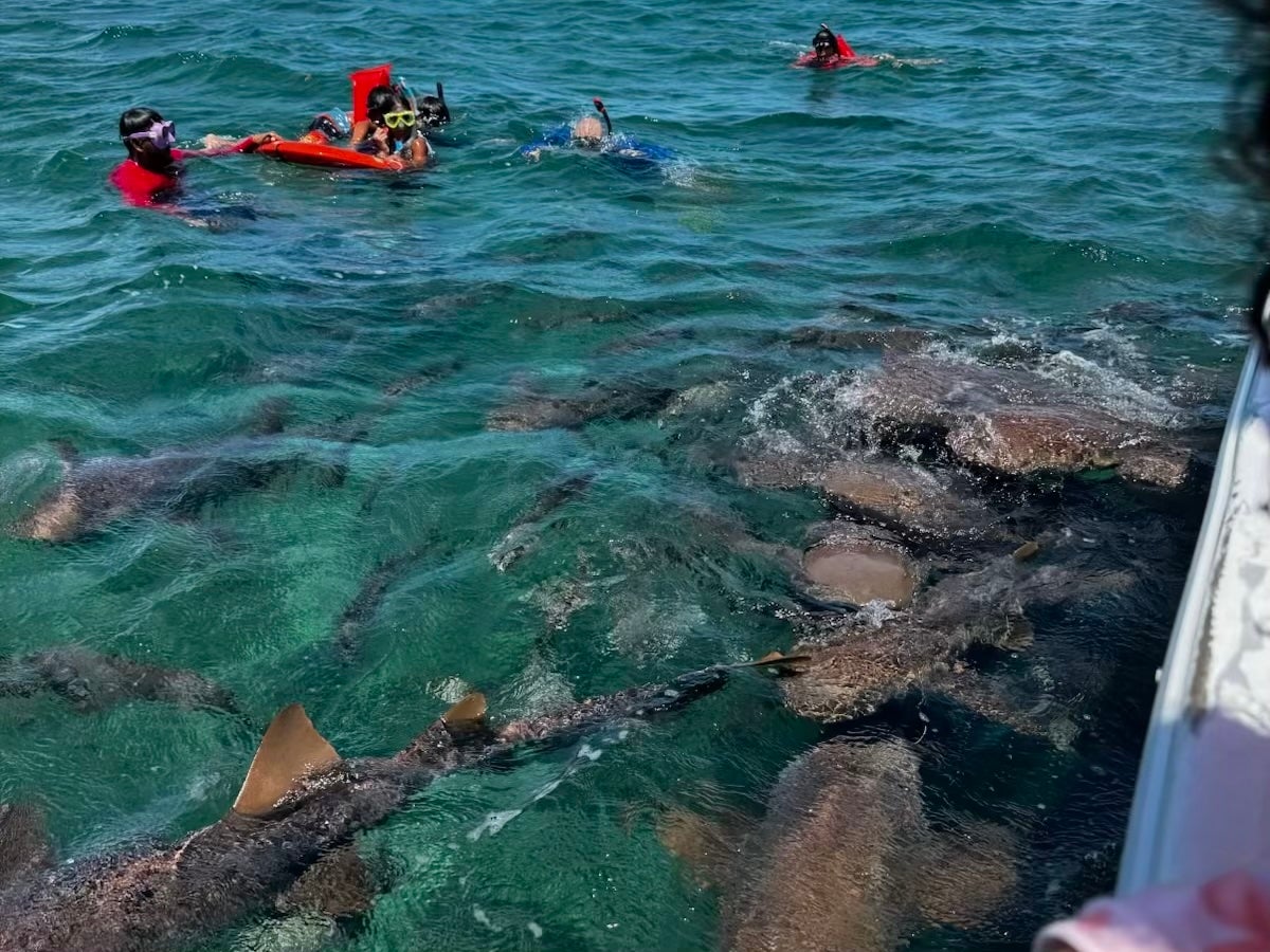 Alaia Belize Snorkeling Reserve
