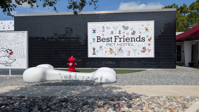 Best Friends Pet Hotel Orlando entrance dog bone and hydrant Best Friends Pet Hotel Orlando entrance dog bone and hydrant