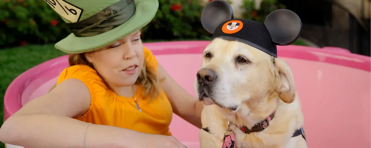 Disney World service animal in a Mad Tea Party teacup