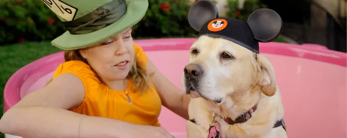 Best Friends Pet Hotel Orlando Pluto topiary Disney World service animal in a Mad Tea Party teacup