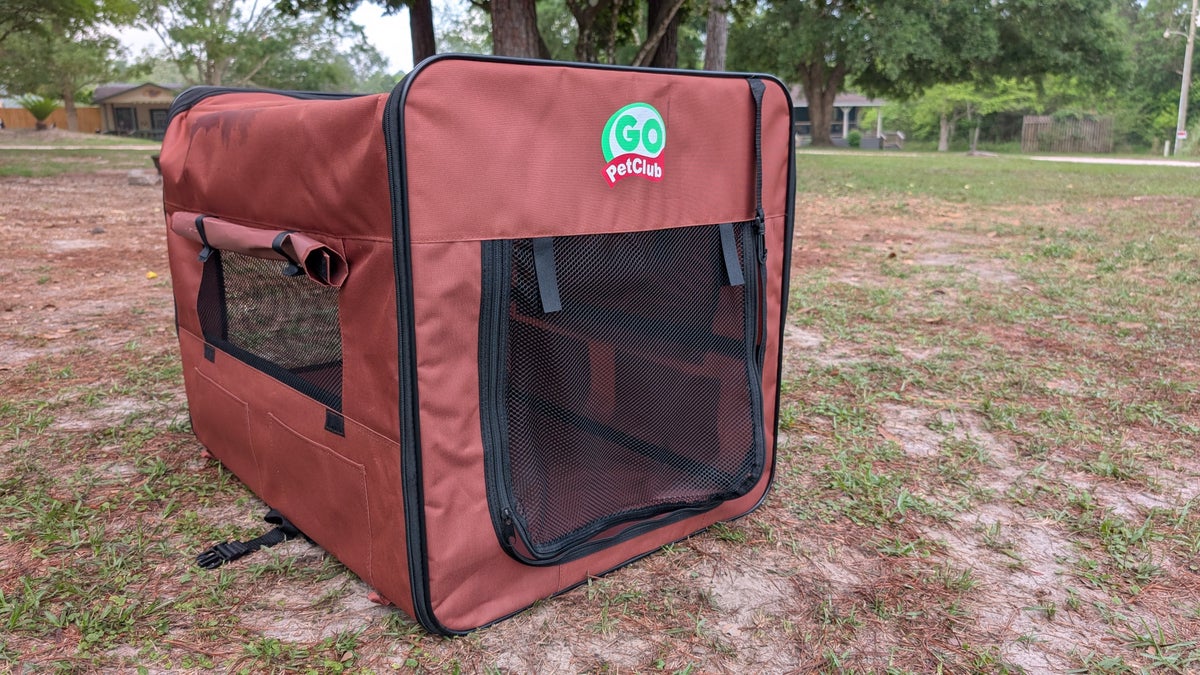 Folding dog bed for camping