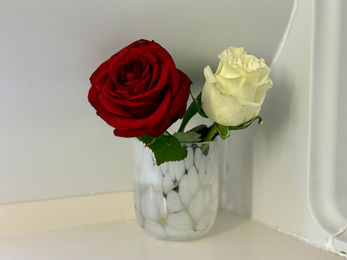 Global Airlines bathroom roses