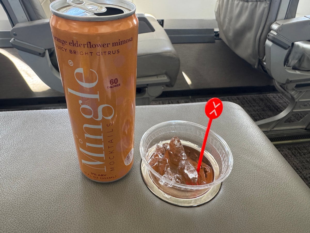 JSX E145 DAL SNA mocktail can