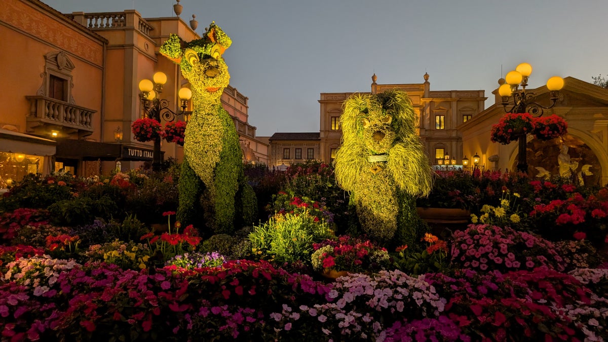 Are Dogs Allowed at Disney World? How We Made It Happen (Plus Service Dog Rules).