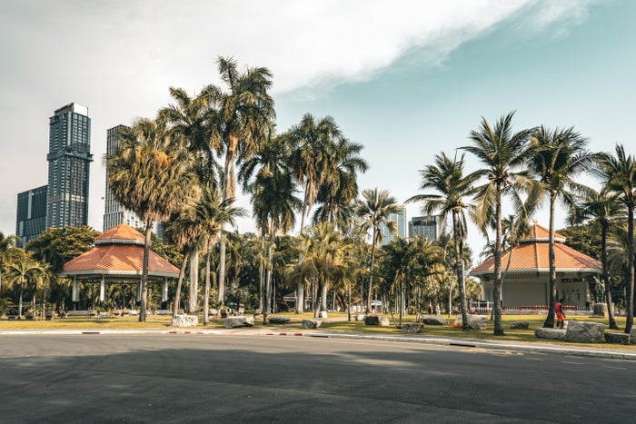 Lumphini Park trees