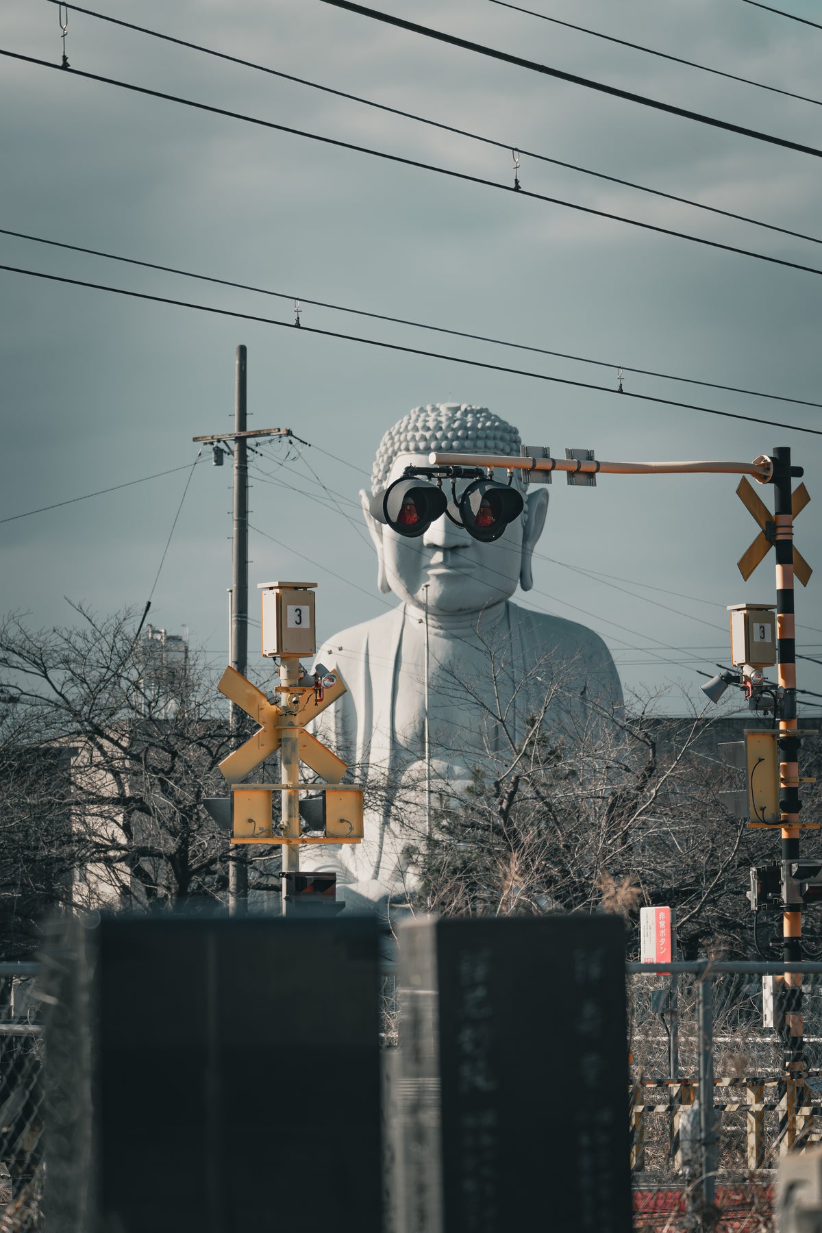 Nagoya Hotei Buddha sunglasses