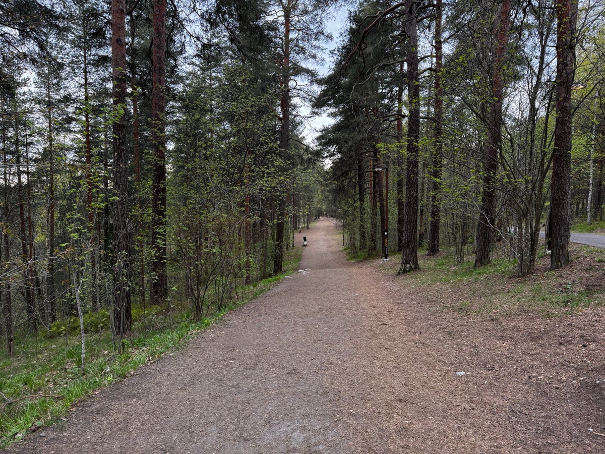 Pyynikki Nature Reserve Tampere path