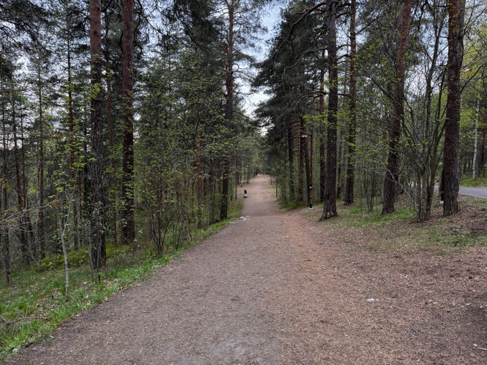 Pyynikki Nature Reserve Tampere path Pyynikki Nature Reserve Tampere path