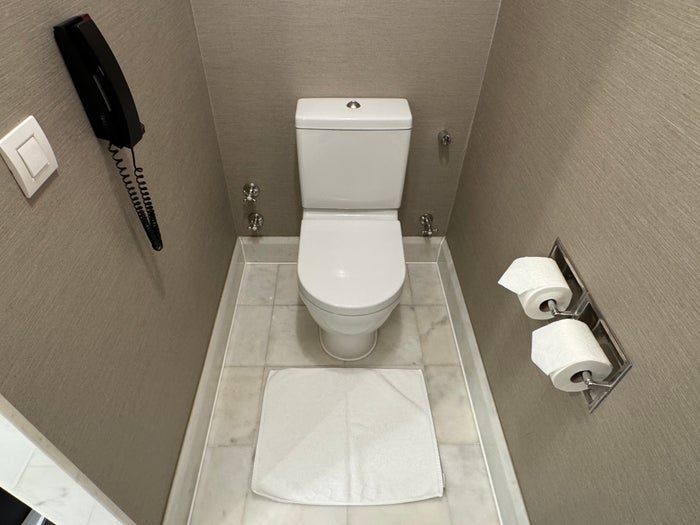 Ritz Carlton Istanbul bathroom water closet Ritz Carlton Istanbul bathroom water closet