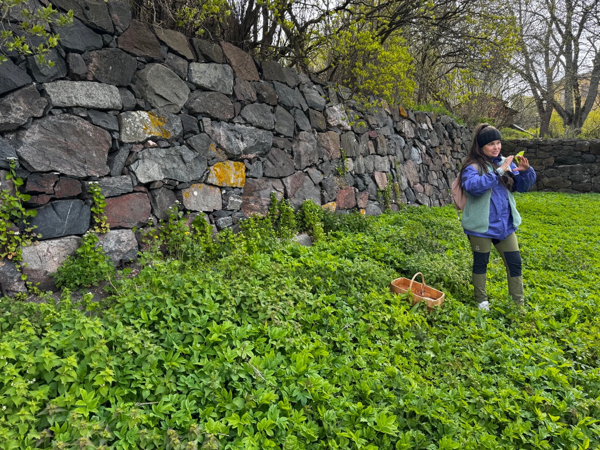 Suomenlinna Helsinki foraging walk