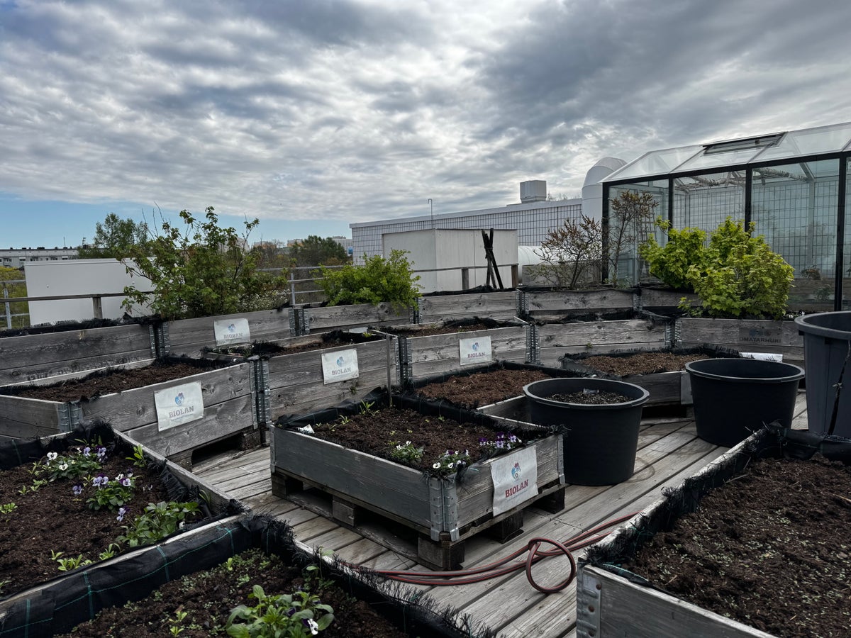 Tampere Hall rooftop garden