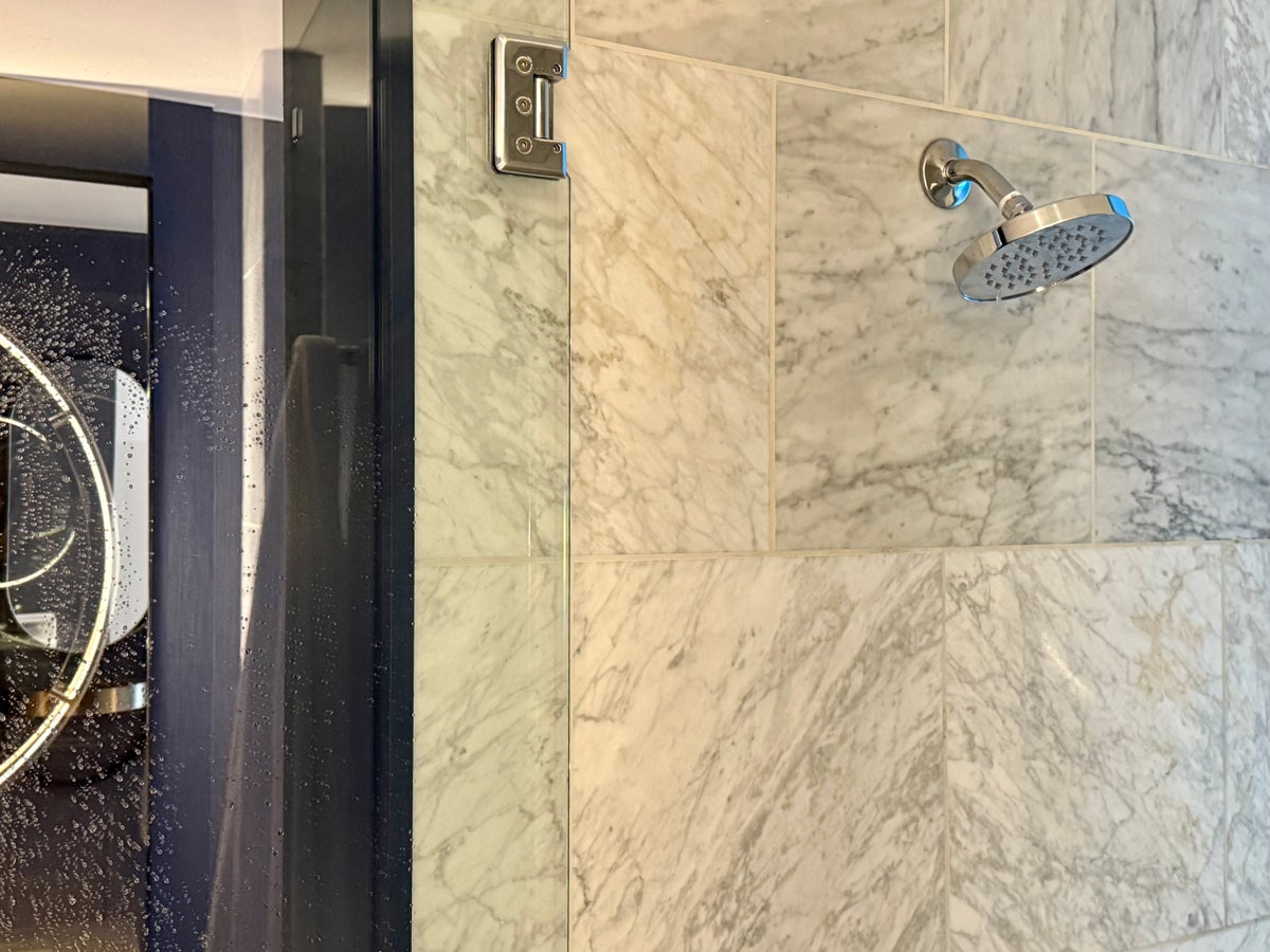 W Hollywood bathroom shower head