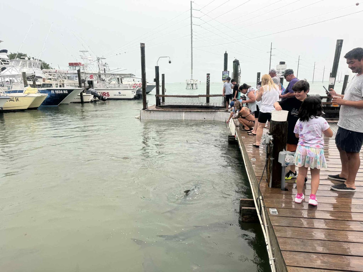 Florida Overseas Highway road trip Robbies Marina feeding dock