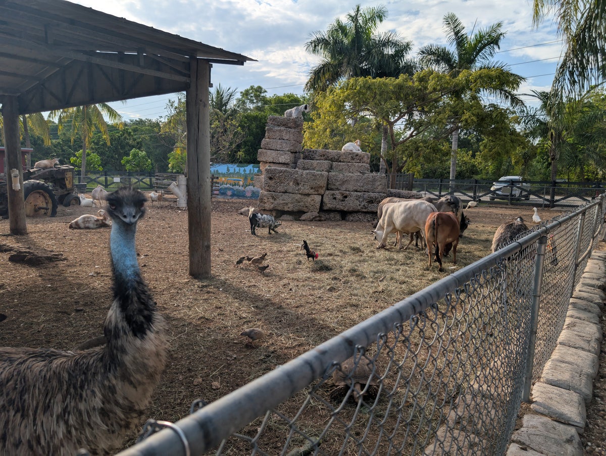 Florida Overseas Highway road trip Robert is Here fruit stand animals