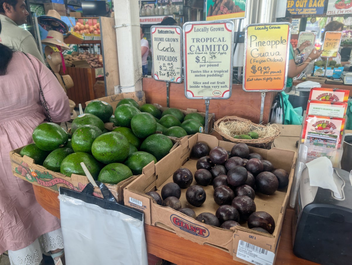 Florida Overseas Highway road trip Robert is Here fruit stand produce