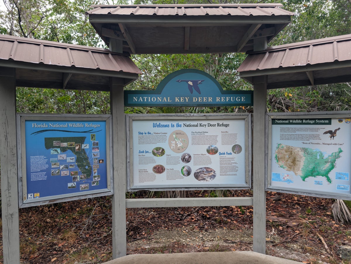 Florida Overseas Highway road trip key deer refuge