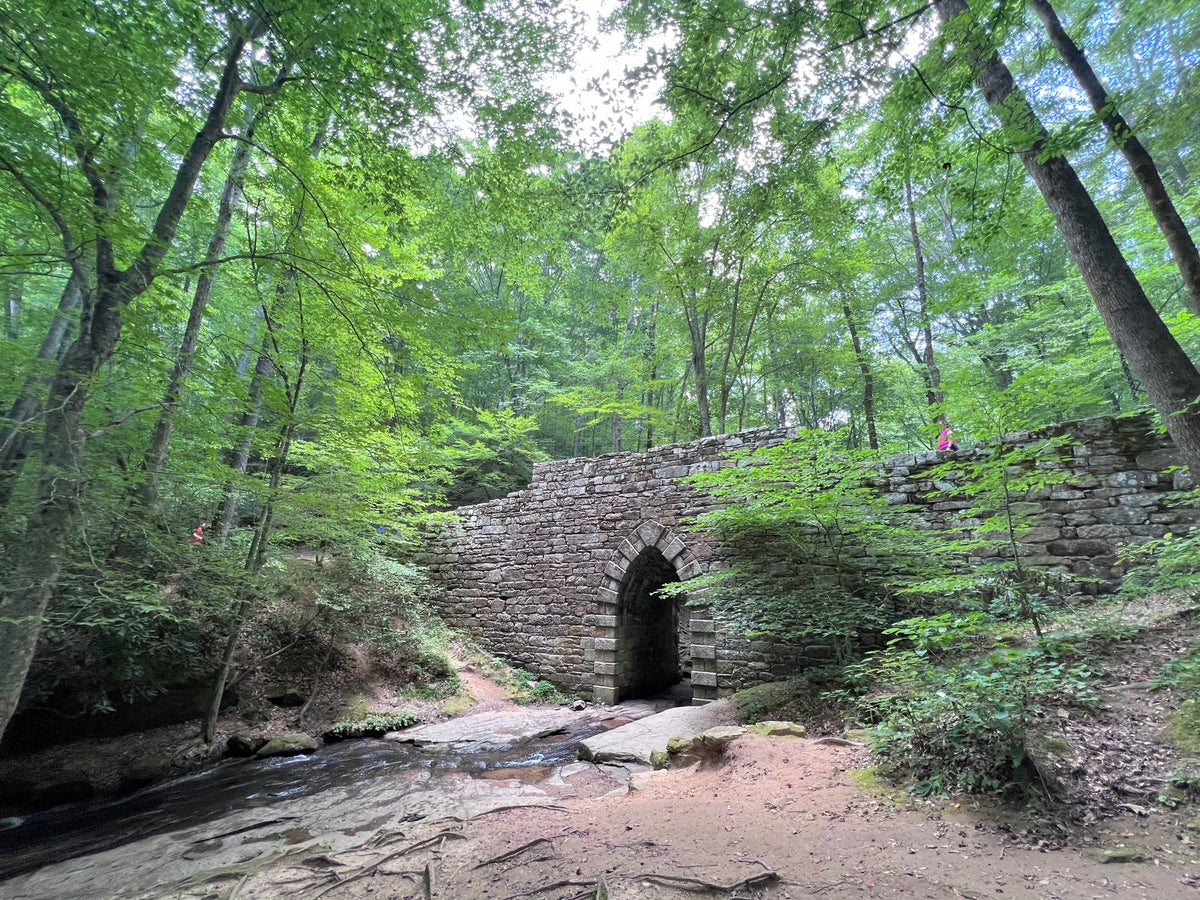 Poinsett Bridge in South Carolina