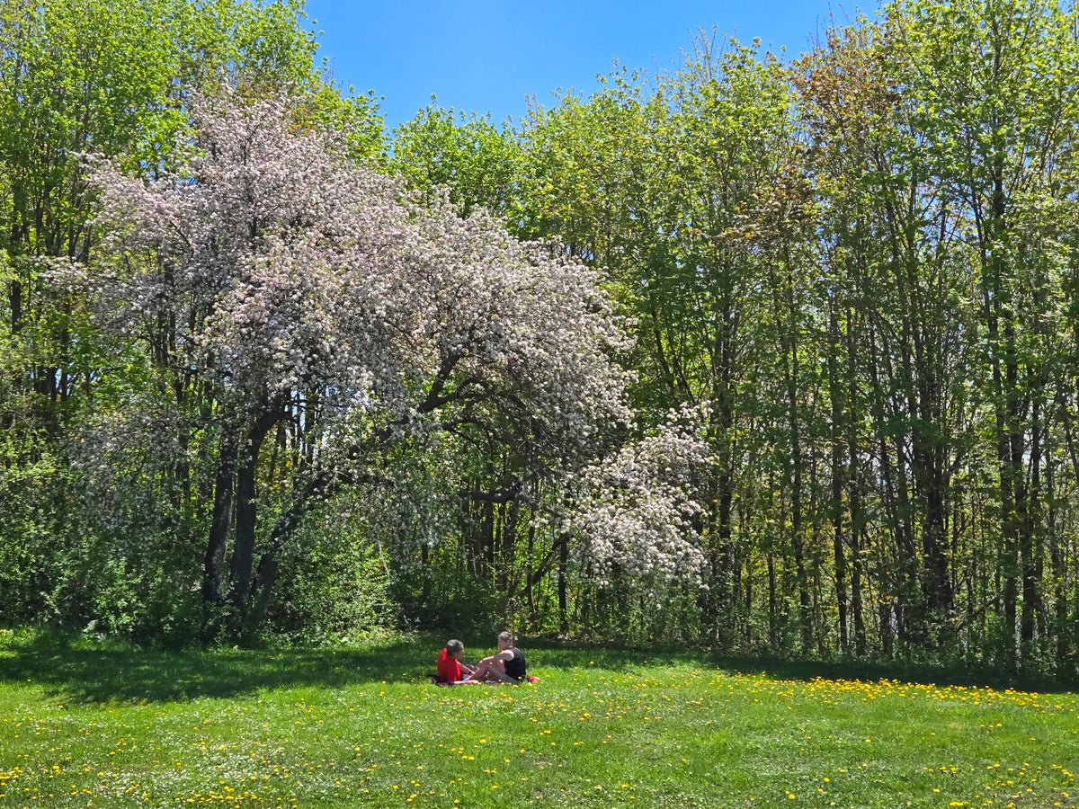 Quebec City Park