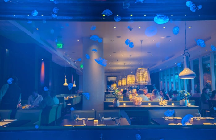 W Fort Lauderdale food and beverages Steak 954 jellyfish tank W Fort Lauderdale Steak 954 jellyfish tank