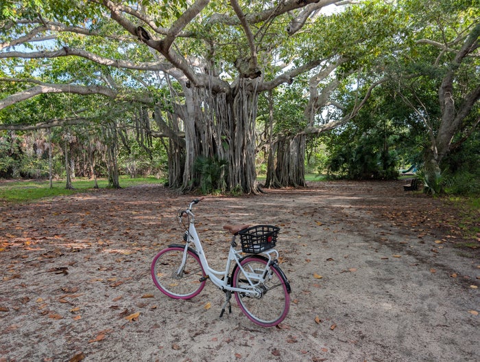 W Fort Lauderdale amenities W Bikes Hugh Taylor Birch State Park W Fort Lauderdale amenities W Bikes Hugh Taylor Birch State Park