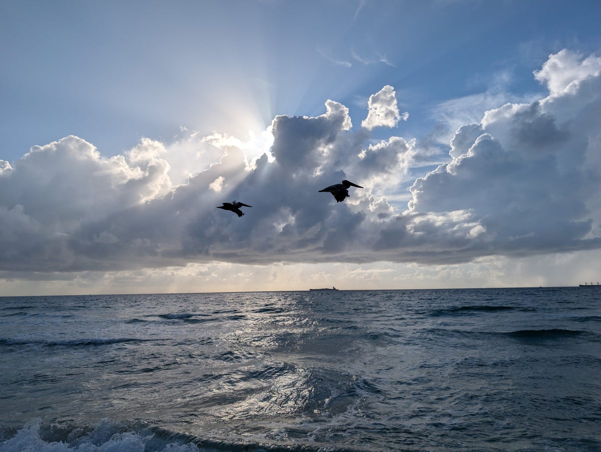 W Fort Lauderdale amenities beach access wildlife