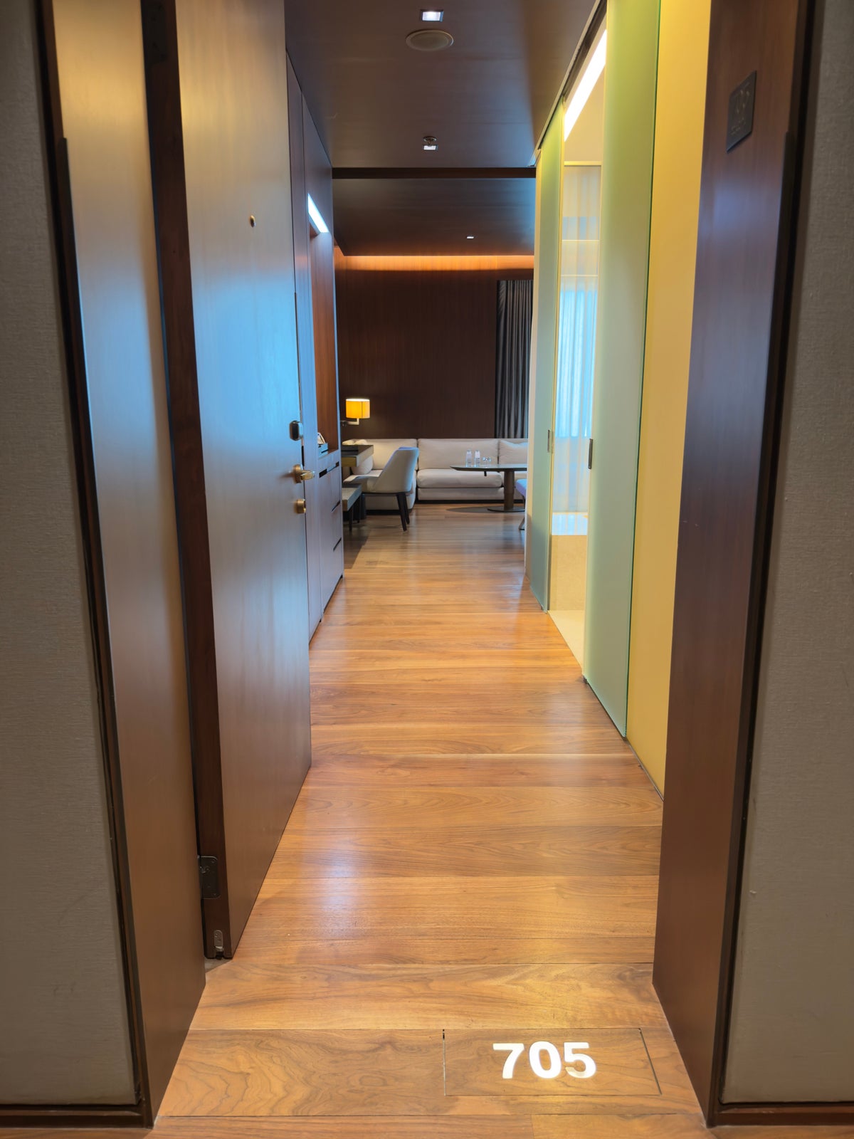 Hyatt Centric Levent Istanbul room entrance