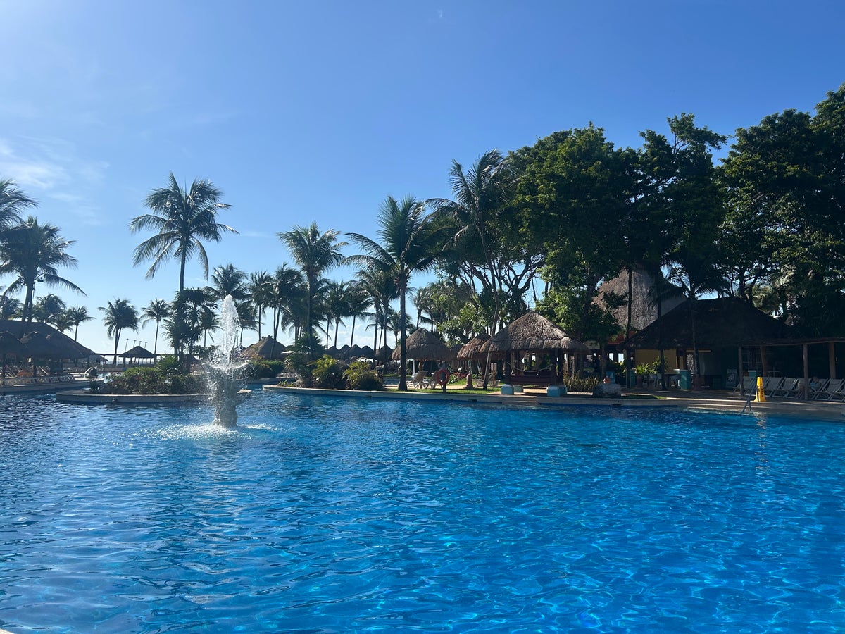 swimming pool with palm tress