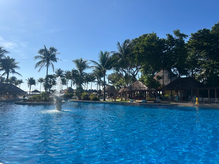 swimming pool with palm tress