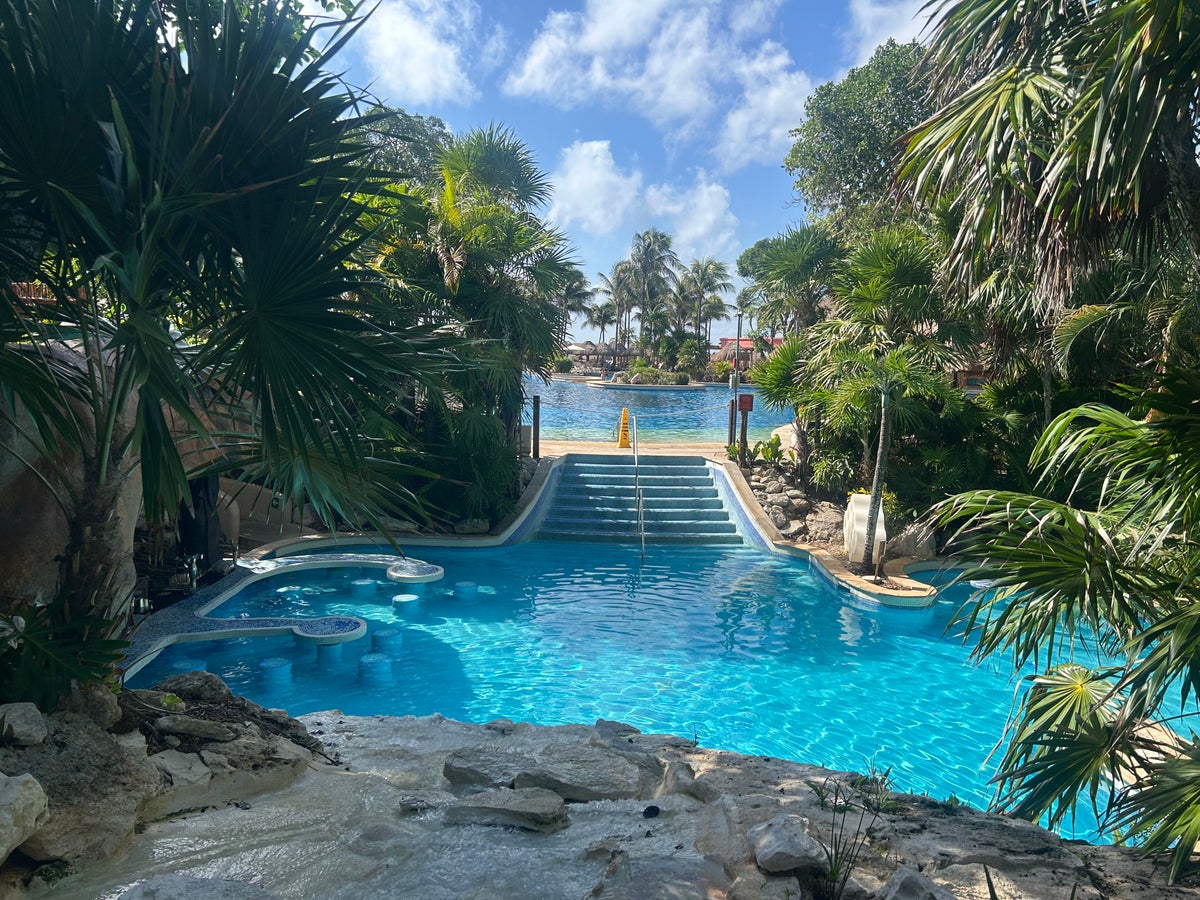 Pool and palm trees
