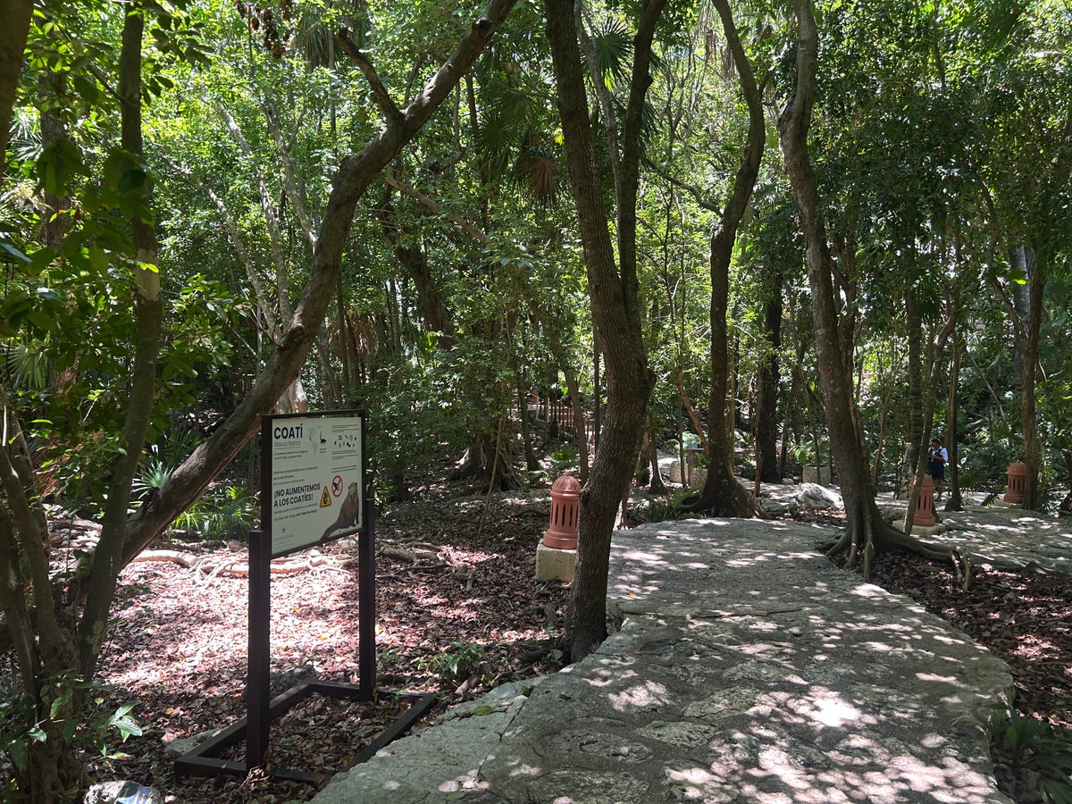 Iberostar Waves Quetzal grounds
