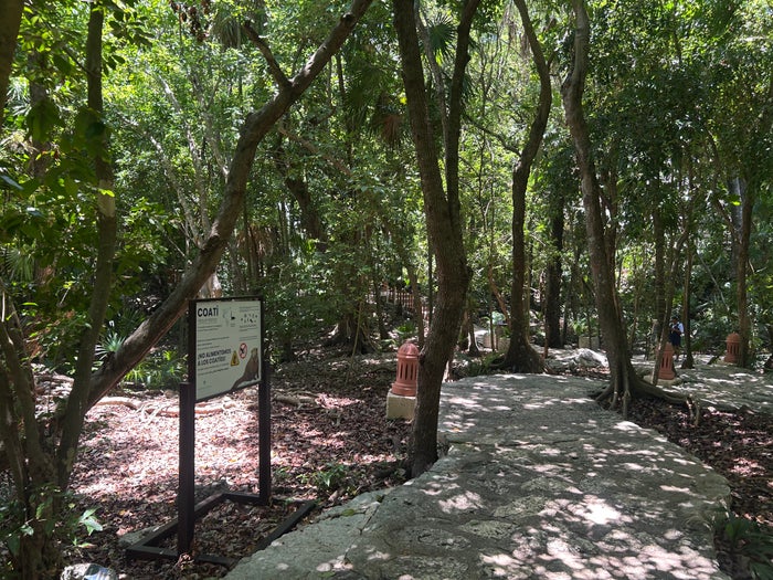 Iberostar Waves Quetzal grounds