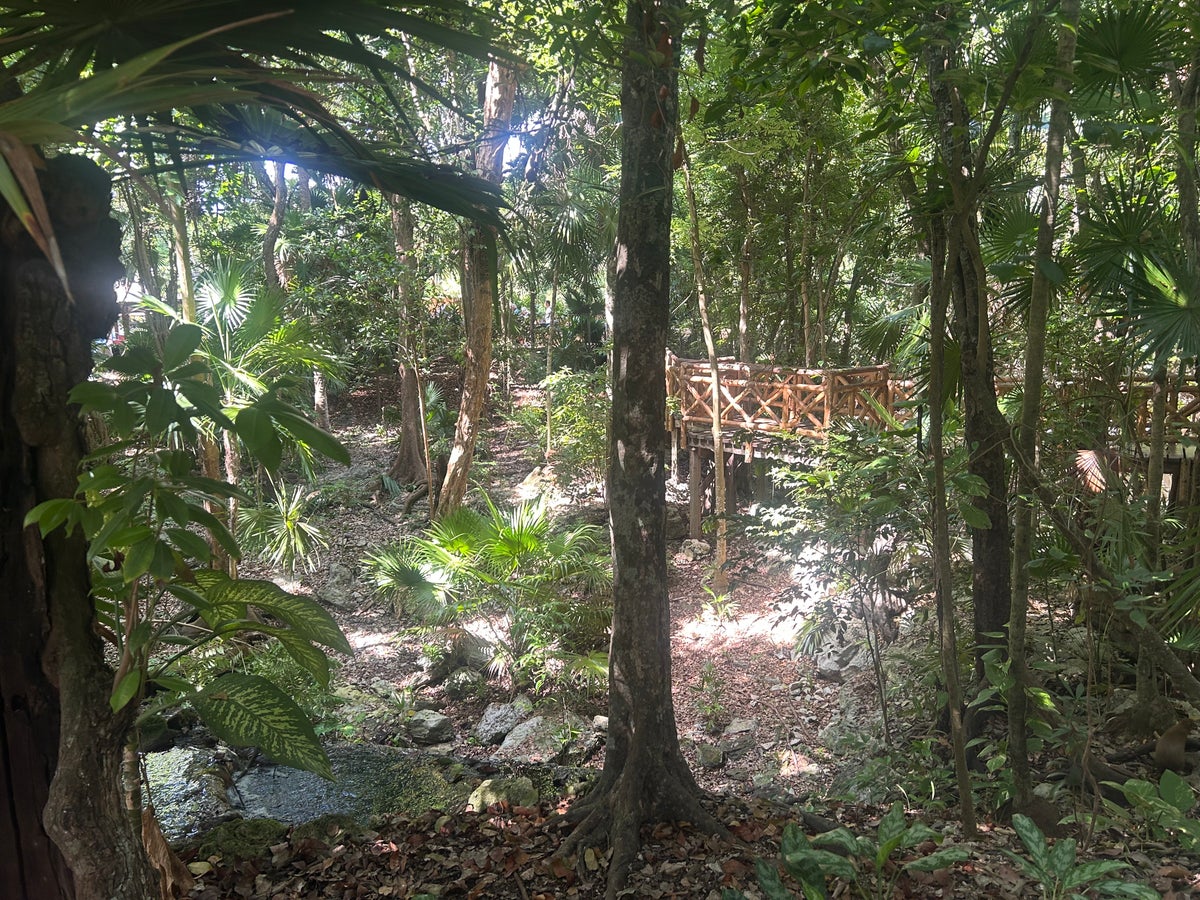 Iberostar Waves Quetzal jungle and bridges