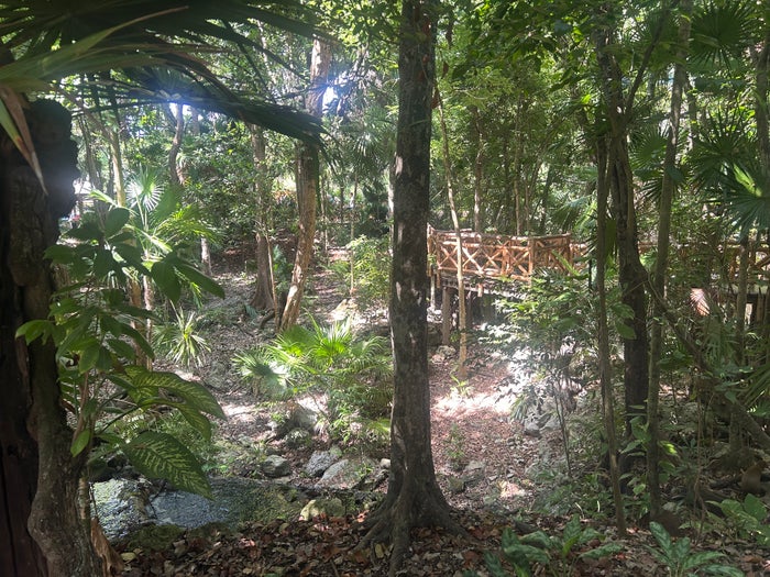 Iberostar Waves Quetzal jungle and bridges