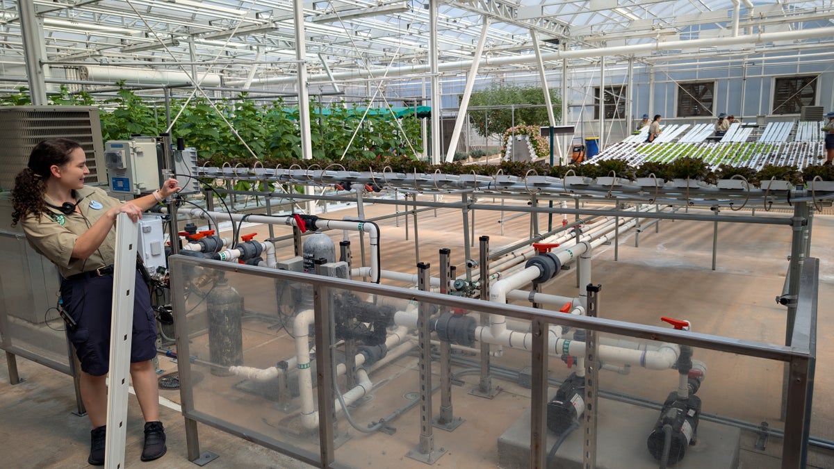 Nutrient film technique growing in the Temperate Greenhouse at EPCOT The Land Behind the Seeds Tour