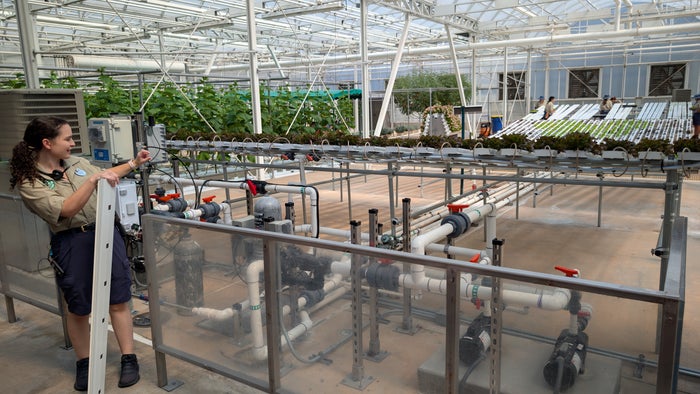 Nutrient film technique growing in the Temperate Greenhouse at EPCOT The Land Behind the Seeds Tour