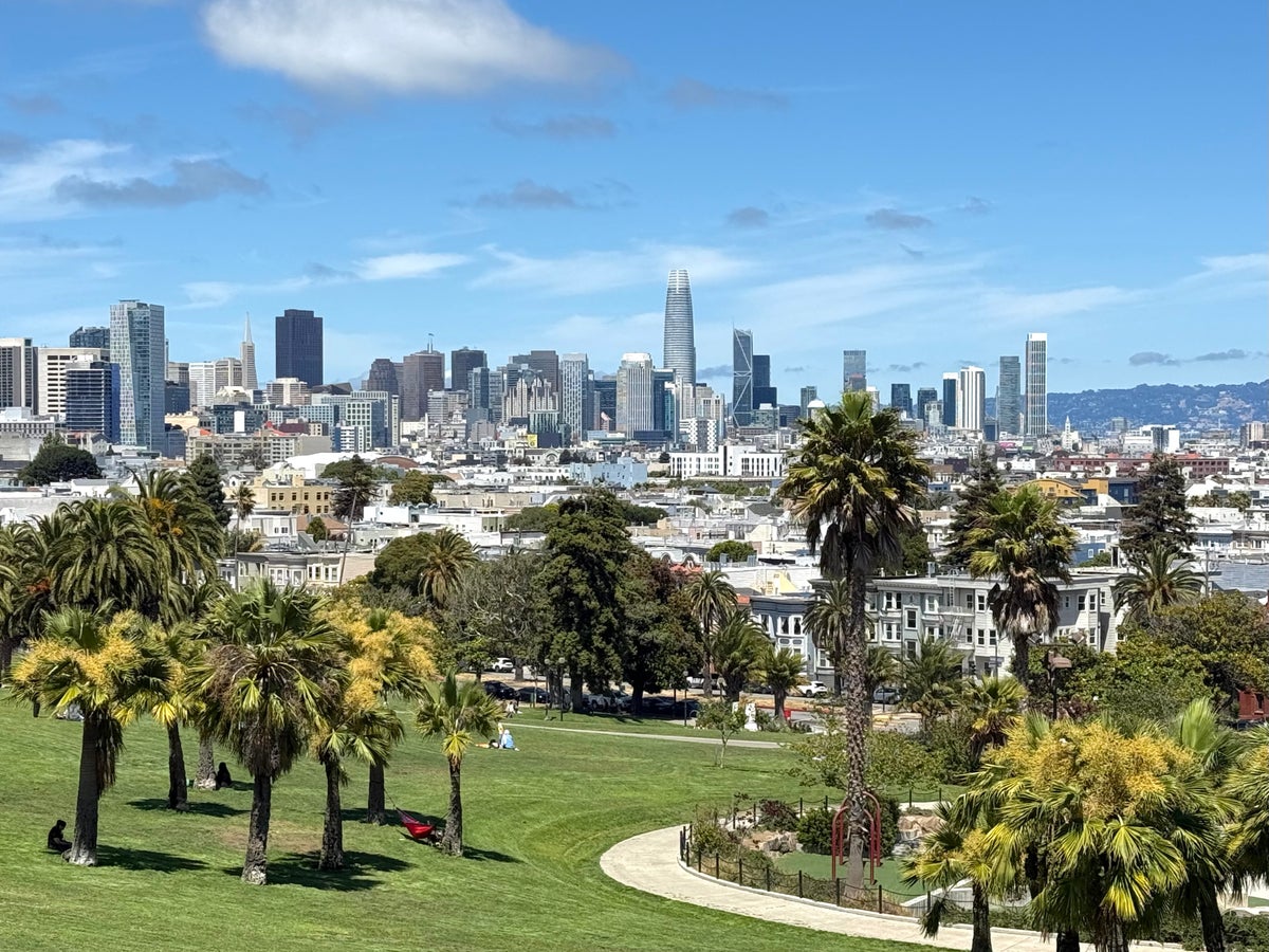 San Francisco skyline from Dolores Park