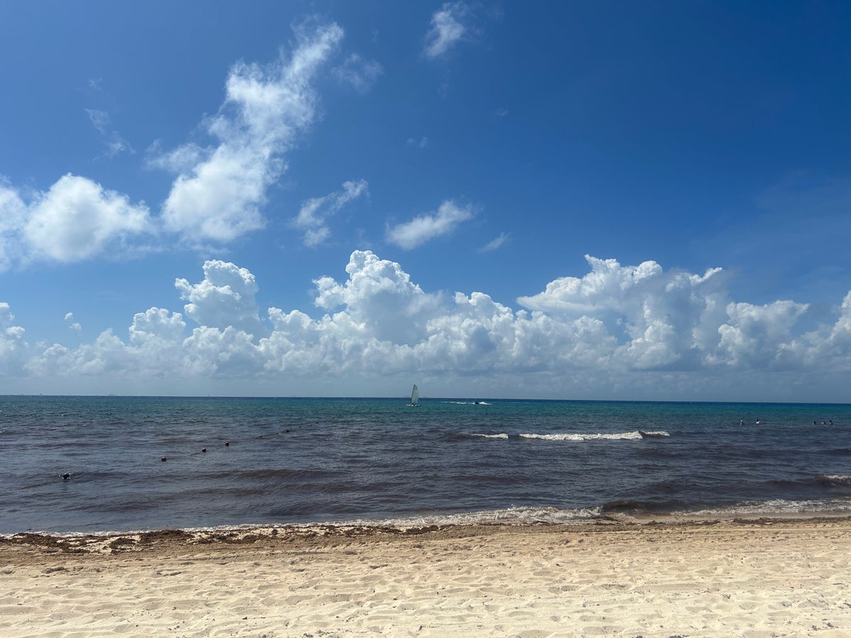 Sargassum at Iberostar Waves Quetzal