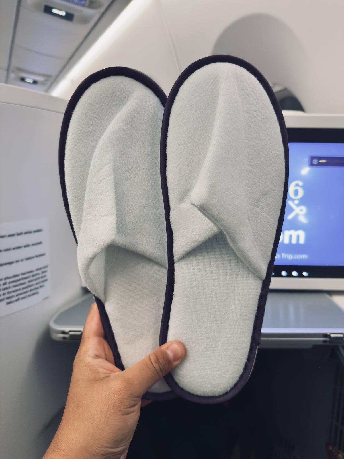 Thai Airways Royal Silk a350 900 business class slippers