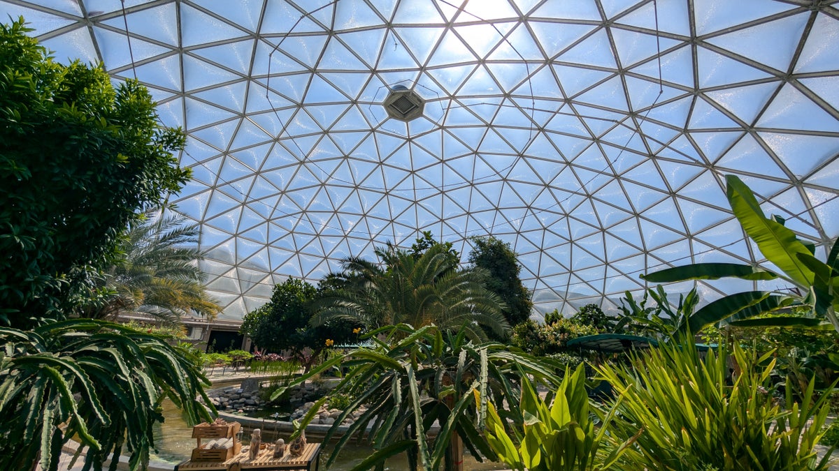 A Review of EPCOT’s Behind the Seeds Tour: Is It Worth It?