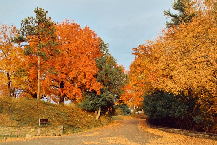 Dream Weekend Trip: How I Booked Fall Break in the Berkshires With Amex Points