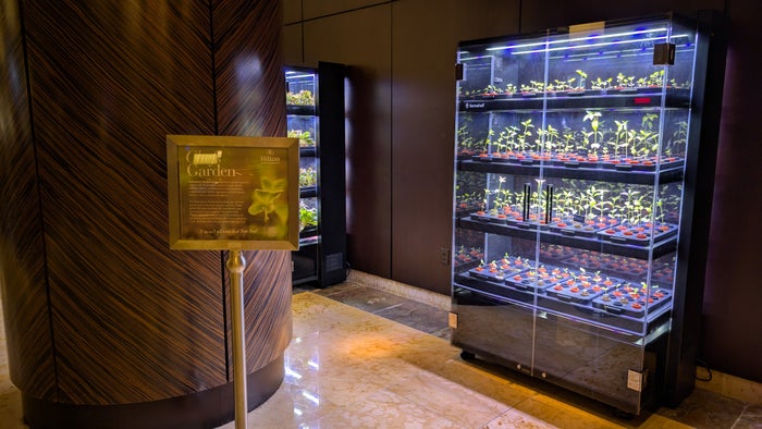 Hilton Americas Houston dining hydroponic greens Hilton Americas Houston dining hydroponic greens