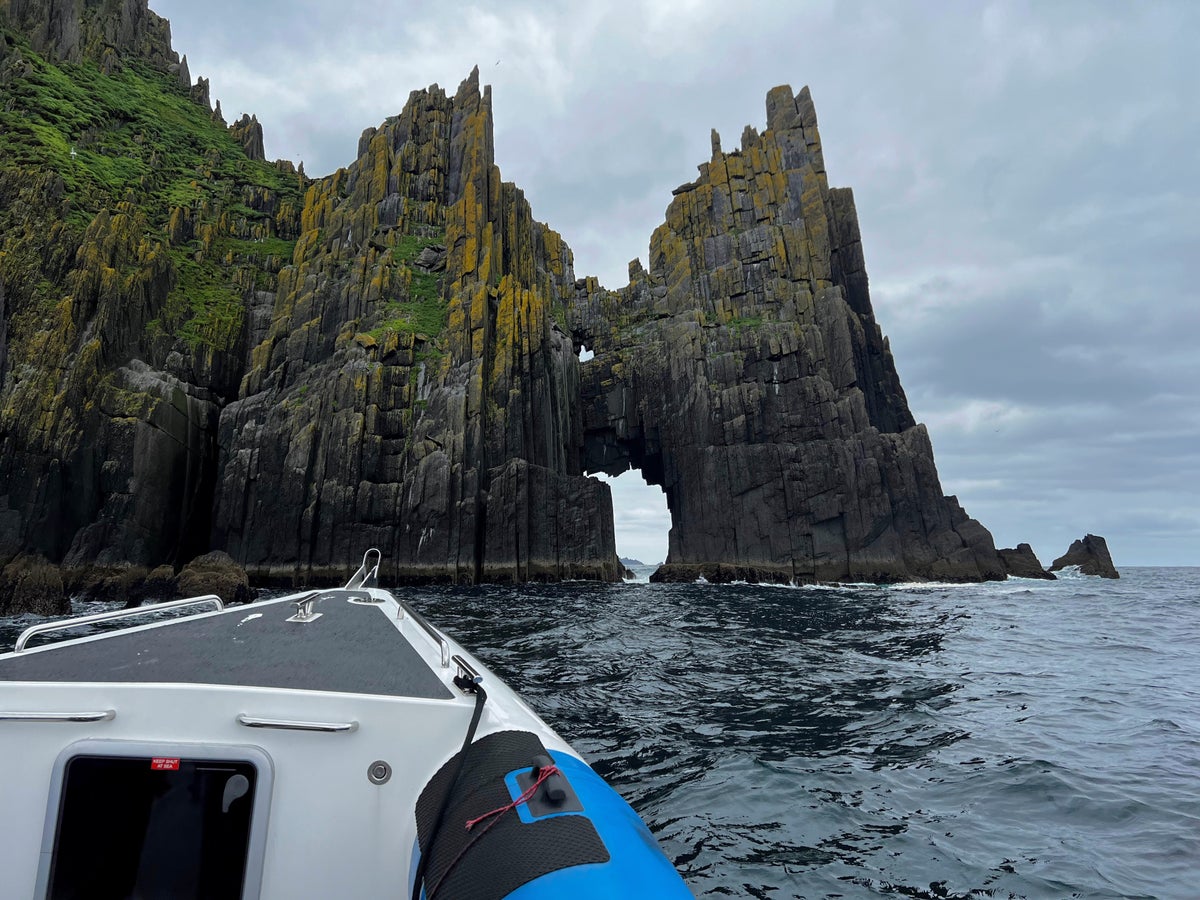 RIB wildlife boat tour in Dingle Ireland