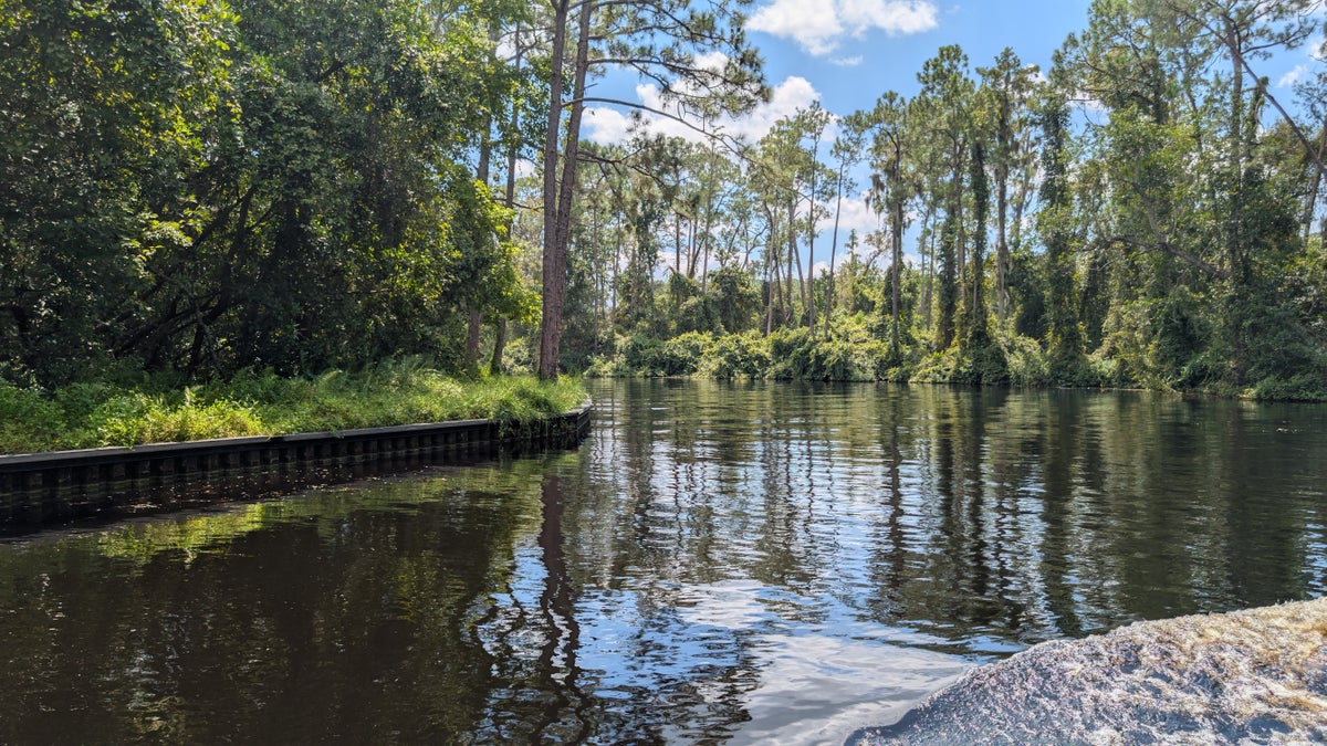 Disney's Port Orleans Resort Riverside amenities Sassagoula River Cruise Florida wilderness