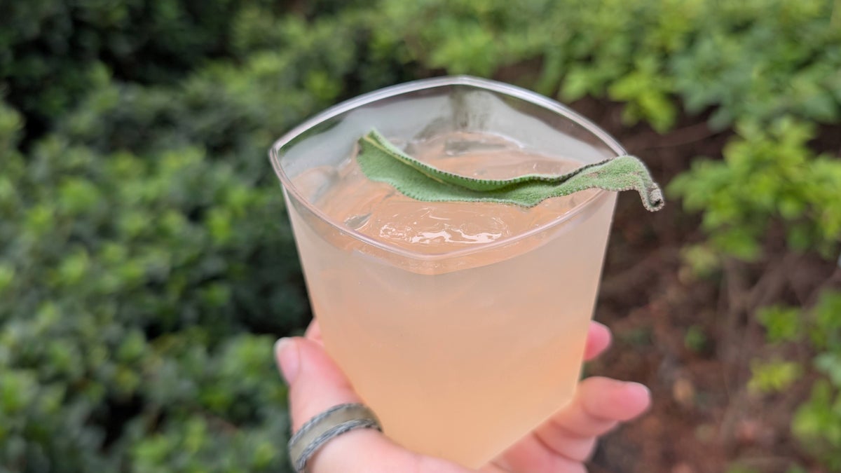 EPCOT Food & Wine Festival 2025 Greece Greek melon lemonade