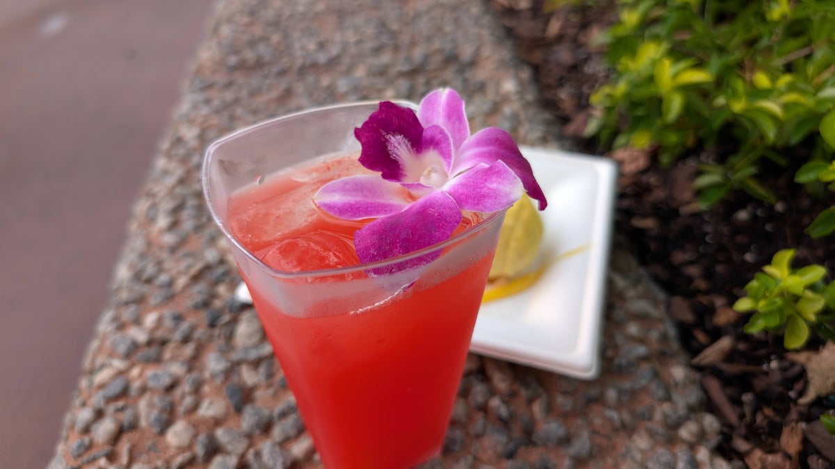 EPCOT Food & Wine Festival 2025 Hawaii Oahu sunrise