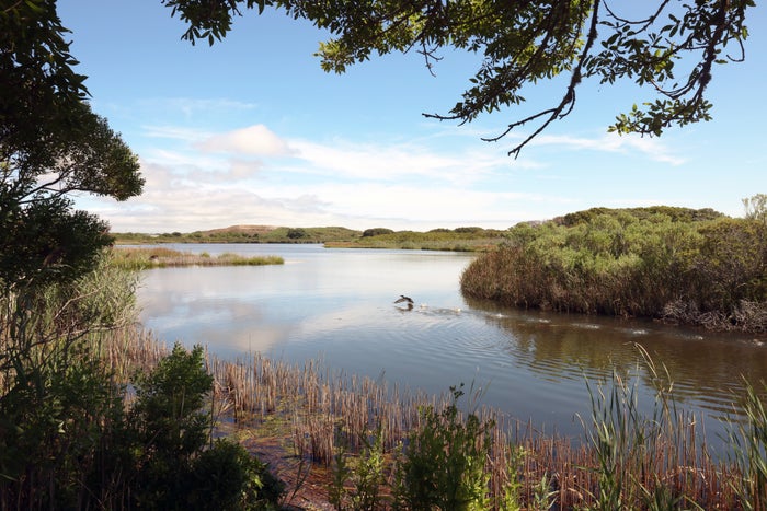 Nantucket Unveiled: The Surprising Pros and Cons You Need To Know [2025 Guide]